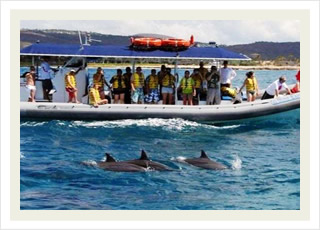 Ko Olina best snorkeling with dolphins tours and the best Hawaii tour tickets discounts.
